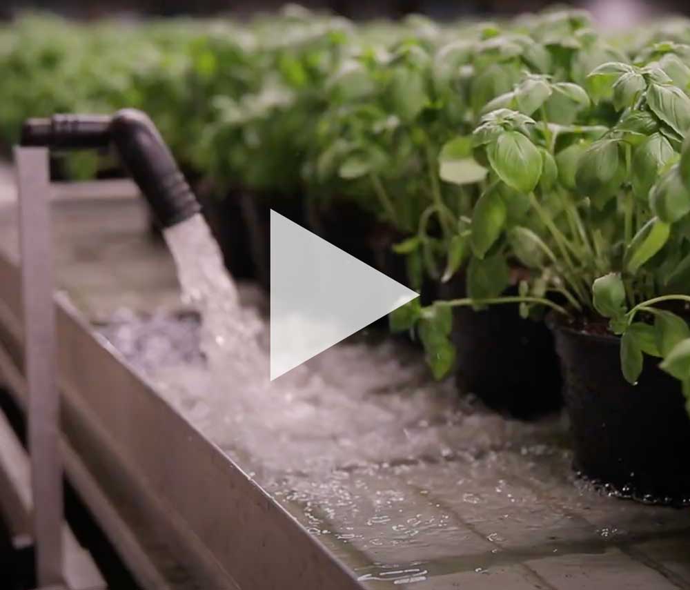That's Tasty Grow Tech